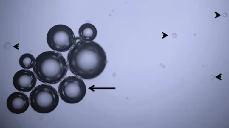 Silicone oil droplets
